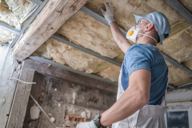 Best Insulation Installation Services in Daytona Beach Shores, FL